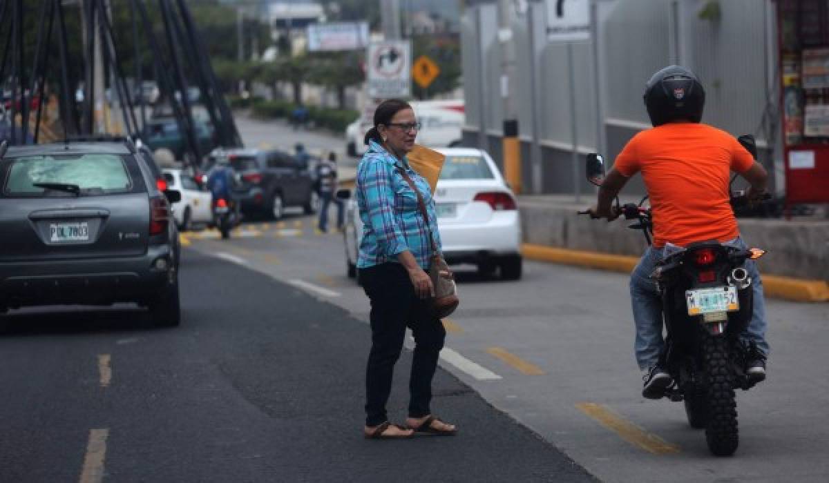 En el 70% de las zonas donde se dan atropellamientos no hay puentes