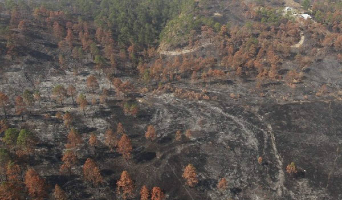 Resguardado desde las alturas ante alarmante cifra de incendios