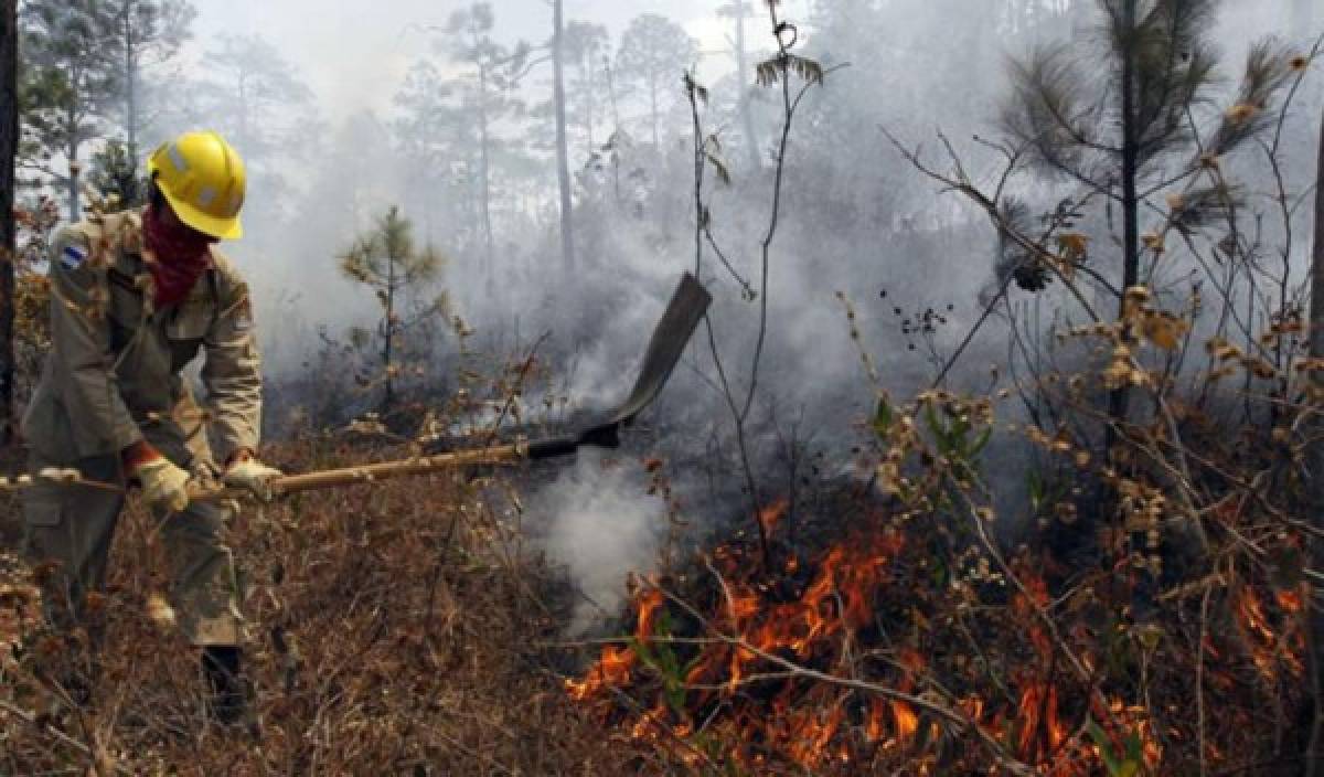 En 2020 se reporta un incremento de incendios forestales