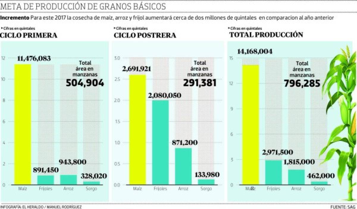 Histórica producción de 20 millones de quintales de granos en Honduras