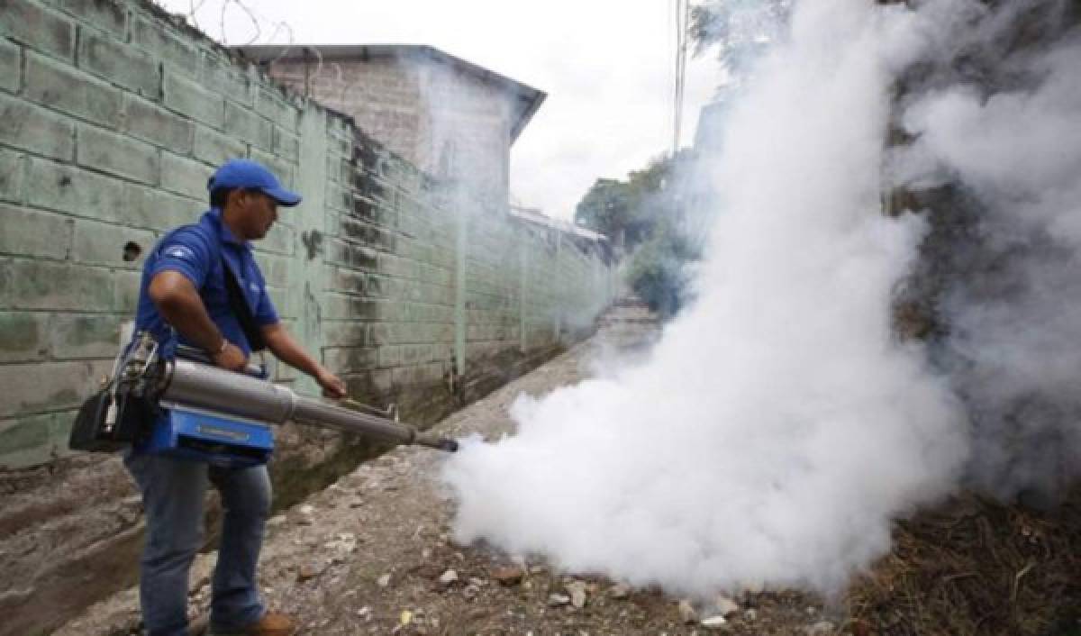 Operativos contra el Aedes Aegypti en 32 colonias de la capital