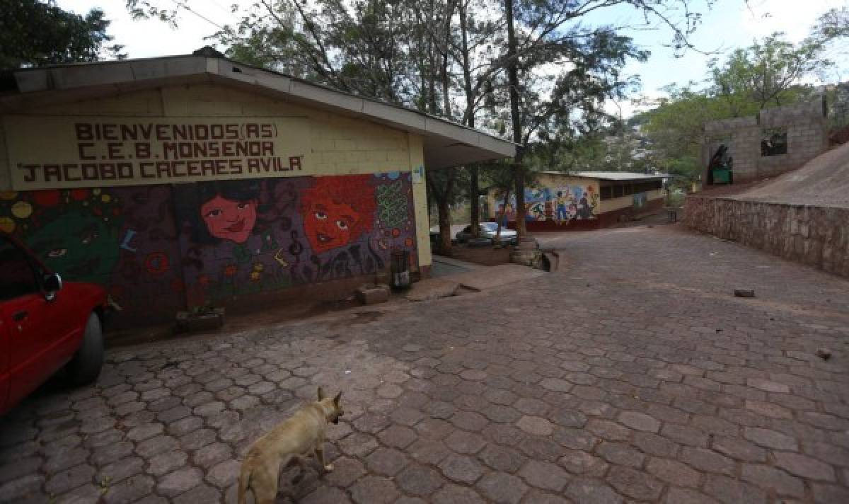 CEB Jacobo Cáceres da la bienvenida a Escuelas Amigables con el Ambiente