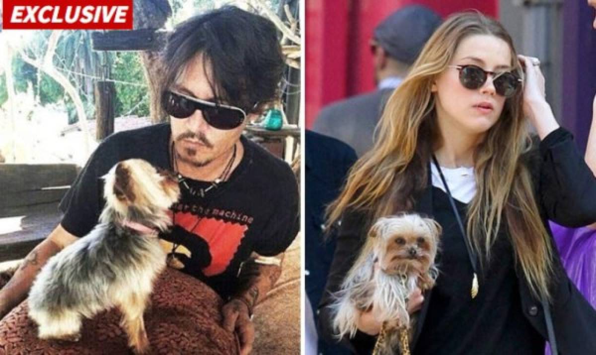 Johnny Depp y Amber Heard, finalmente separados