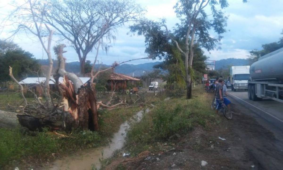 Unas 50 casas sin techo dejan fuertes ráfagas de viento en El Paraíso