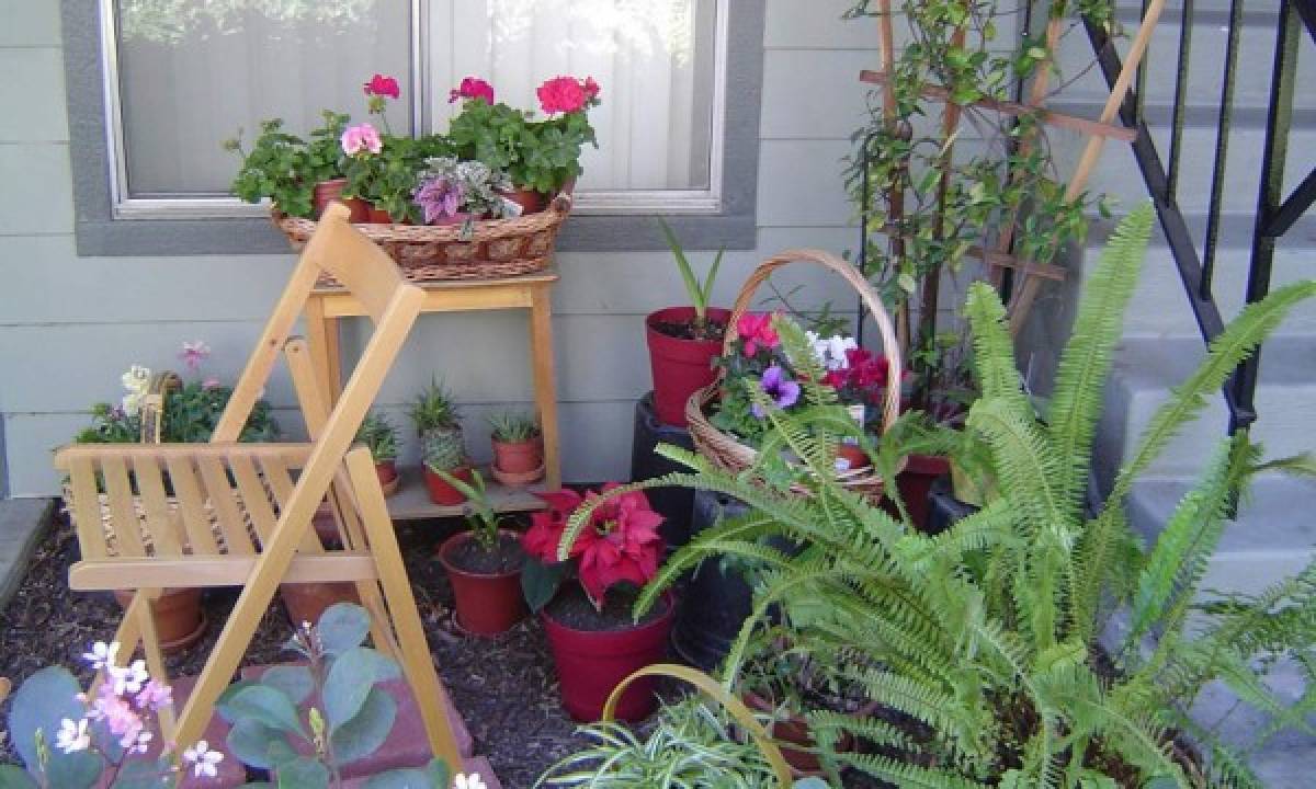 Convierte el patio de tu casa en un lugar especial para disfrutar en familia