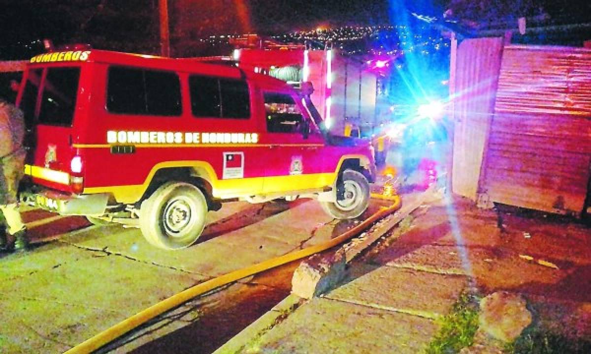 Mujer y sus 12 perros mueren en voraz incendio en la capital