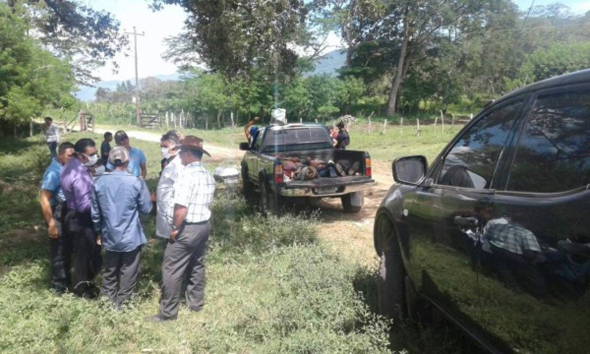 Honduras: Acribillan a cuatro personas en montaña de San Esteban