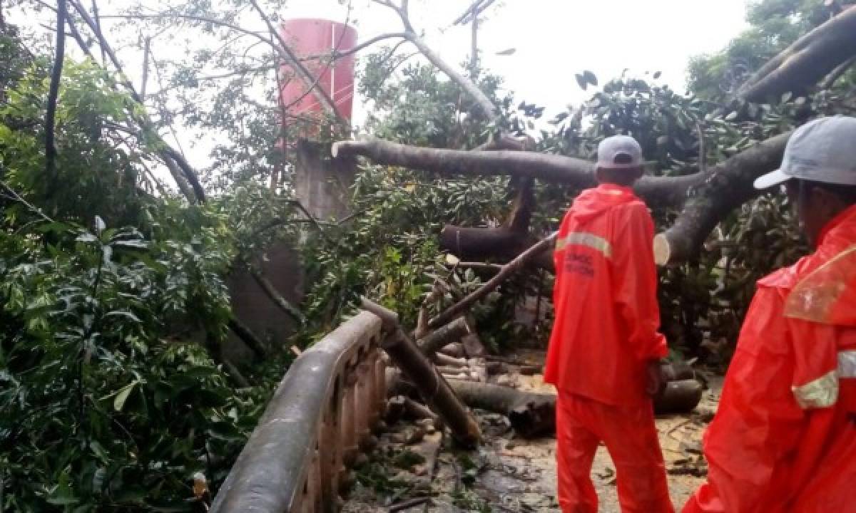 Decretan alerta amarilla para la capital por la saturación de suelos