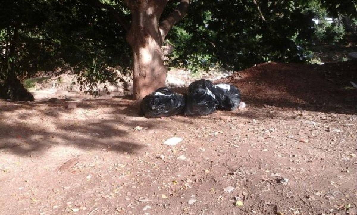 En bolsas plásticas dejan cadáveres de féminas en Los Llanos