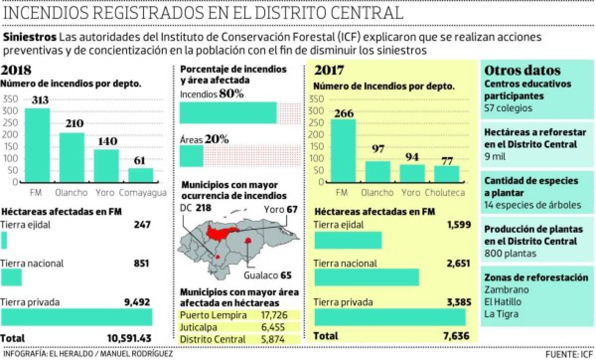 Más de 9 mil hectáreas afectadas están siendo reforestadas en el Distrito Central