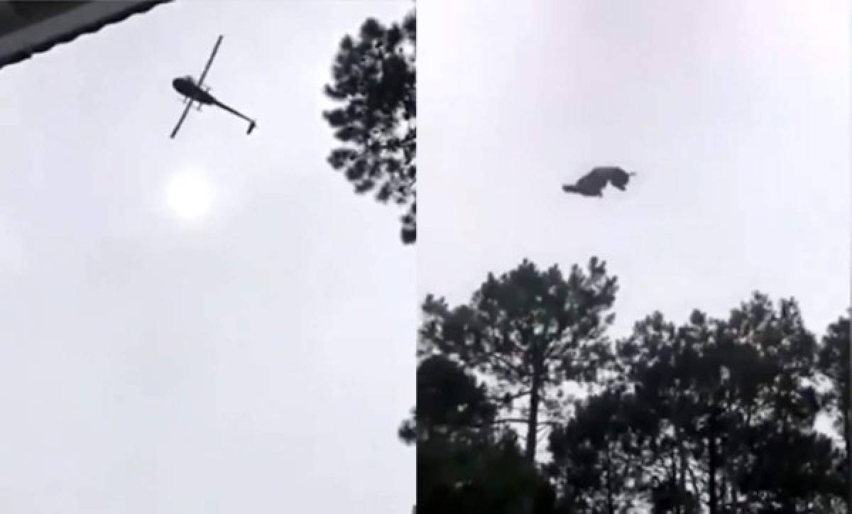 Investigan caso de cerdo arrojado desde un helicóptero a una piscina en Uruguay