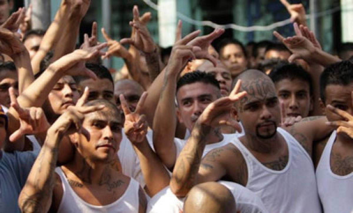 Gobierno salvadoreño promete 'doblegar' a pandillas y bajar ciminalidad en un año  