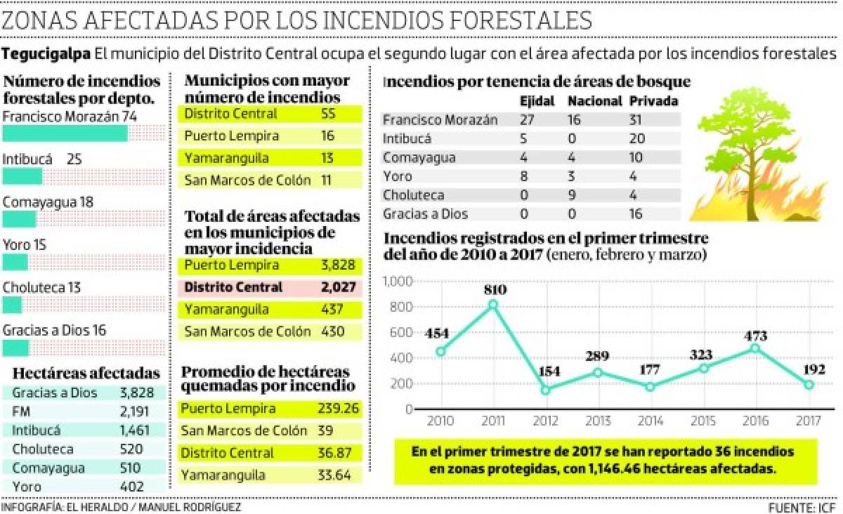 El 69% de las áreas afectadas por el fuego en la capital son privadas