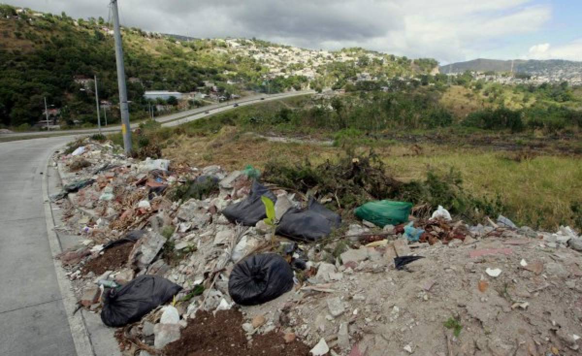 Convertirán botaderos ilegales en jardineras y espacios recreativos en la capital de Honduras