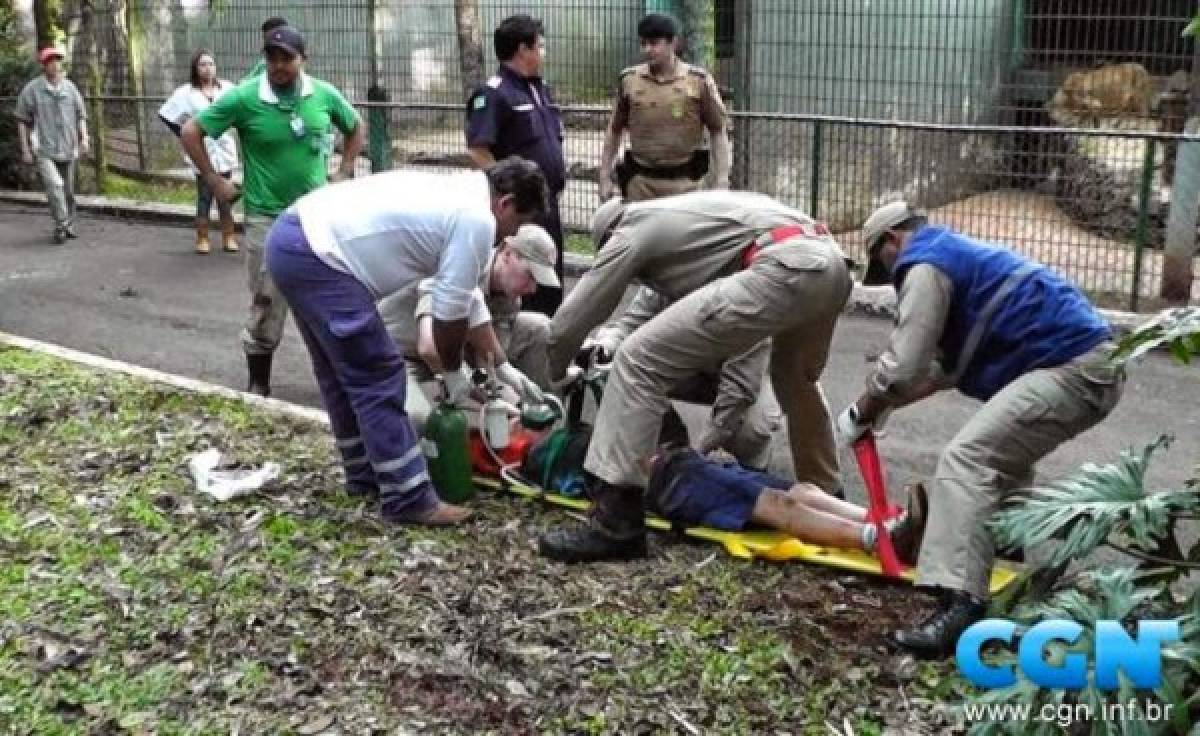 Un tigre arrancó el brazo a un niño de 11 años   