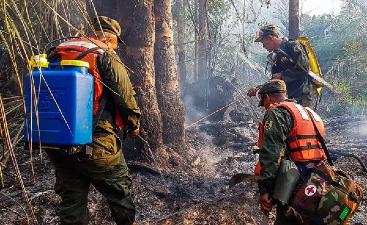 Incendio devora por octavo día una reserva de la biósfera en Nicaragua
