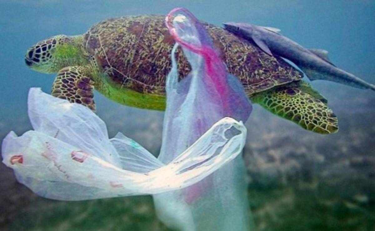 El plástico es el principal contaminante del ambiente en el mundo
