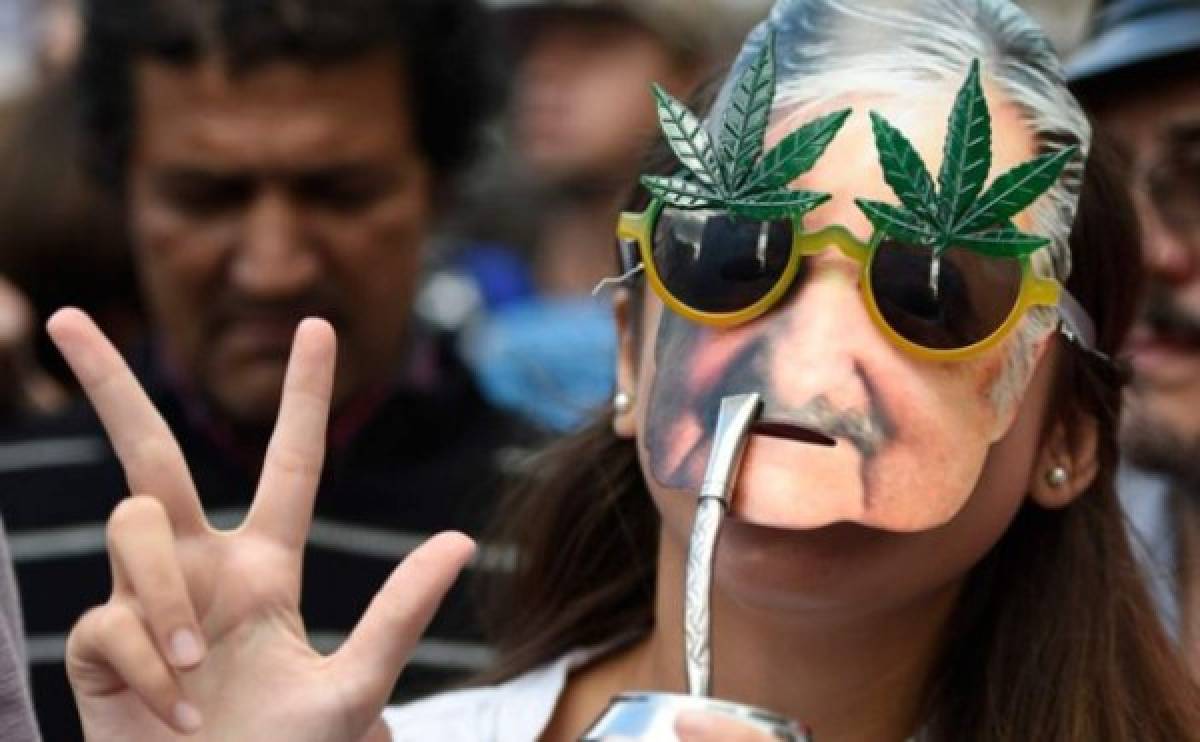 'Mujica gold', la nueva semilla de marihuana para fans de Mujica