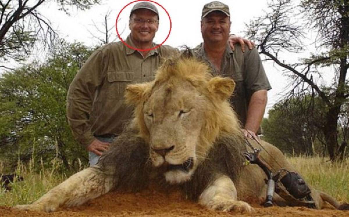 Dentista estadounidense fue quien mató a Cecil, el león más famoso de Zimbabue   