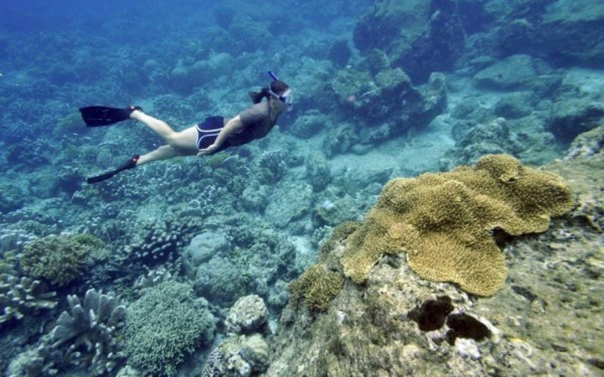 Cambio climático, turismo y ciencia se enfrentan por la Gran Barrera de Coral