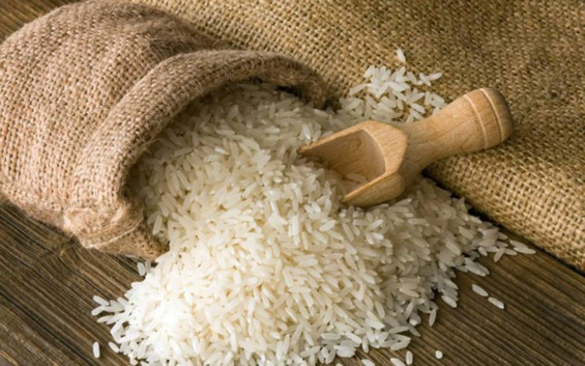 En riesgo la producción de 1.5 millones de quintales de arroz