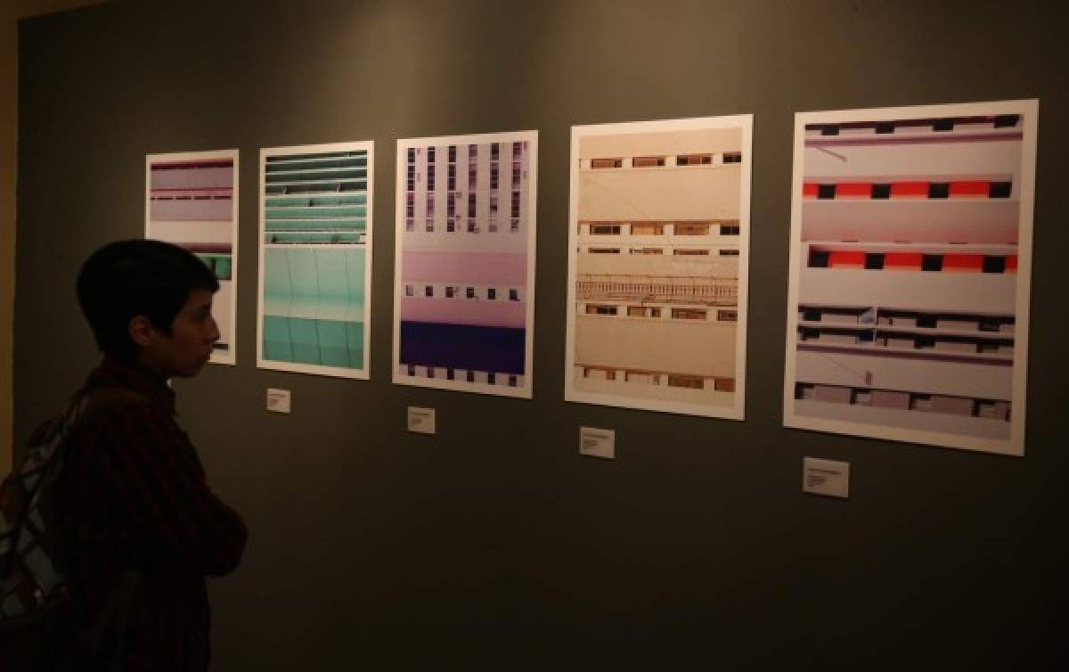 El Centro de Arte y Cultura exhibe las muestras 'Inconcreto' y 'Urbanimales'
