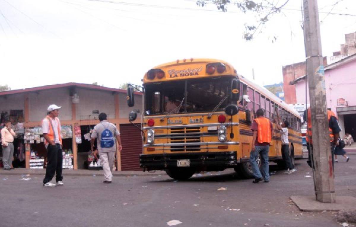 Ecuador está interesado en renovar flota de buses