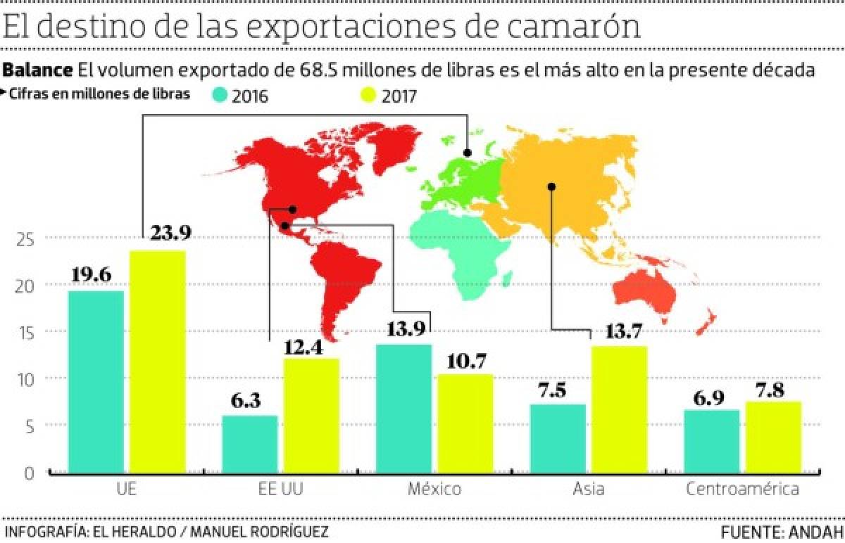 La exportación de camarón hacia México cayó 23 por ciento
