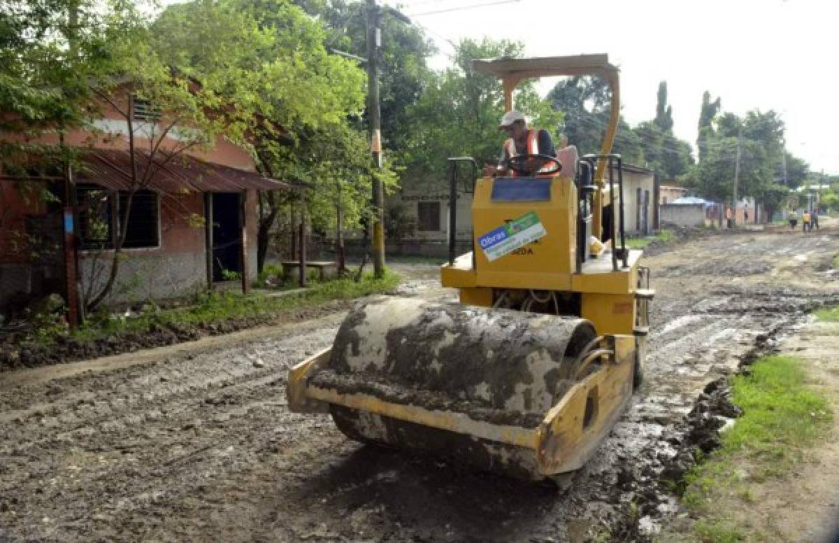 Auditoría dejará en suspenso acciones a ONG