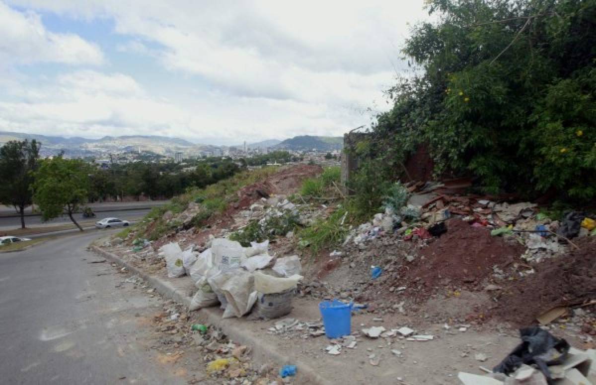 Convertirán botaderos ilegales en jardineras y espacios recreativos en la capital de Honduras