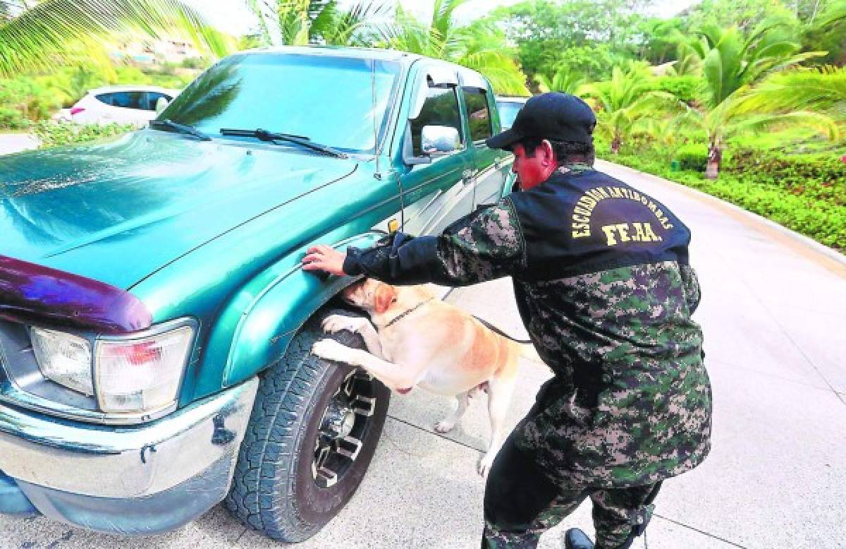 Cancilleres buscarán concretar declaración por la unidad en CA