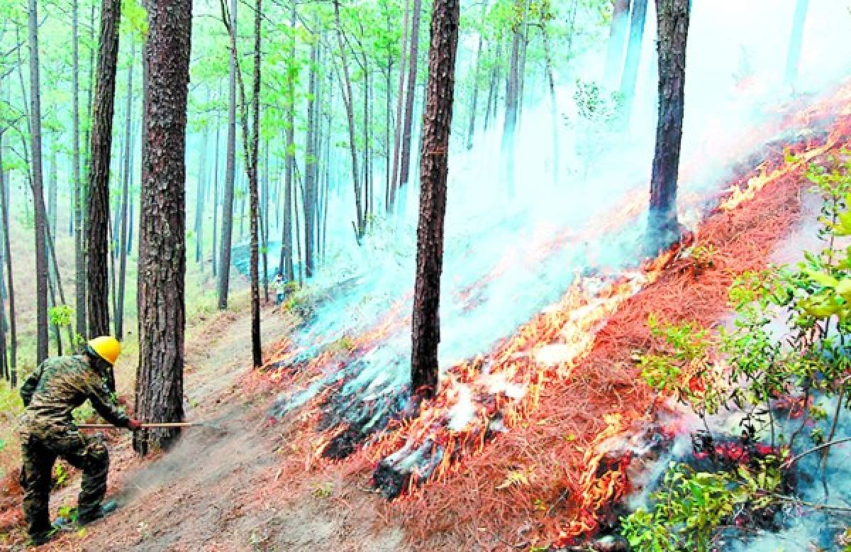 Escasez de agua limita combate contra incendios