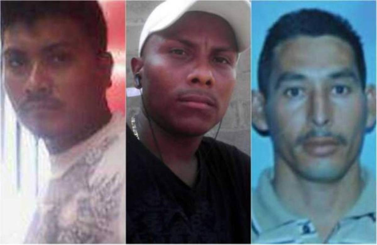 Honduras: Matan a tres albañiles en colonia Lomas de San Juan de San Pedro Sula