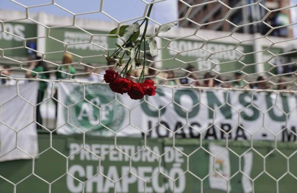 El homenaje se llevará a cabo en el estadio Atanasio Girardot a la misma hora donde se jugaría la final entre el Nacional y Chapecoense (Fotos: Agencias AP/AFP / Deportes El Heraldo / Noticias El Heraldo / El Heraldo Honduras )