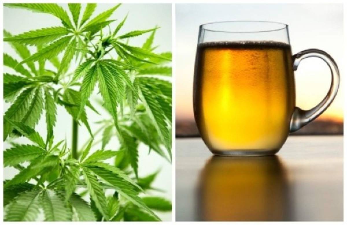 'El alcohol es más peligroso que la marihuana', dice ministro