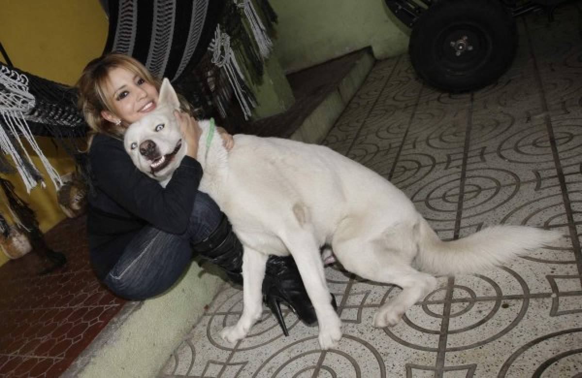 Denisse Durán es una apasionada por su familia y considera a las mascotas parte de ella. (Fotos: EL HERALDO Honduras / Noticias de Honduras)