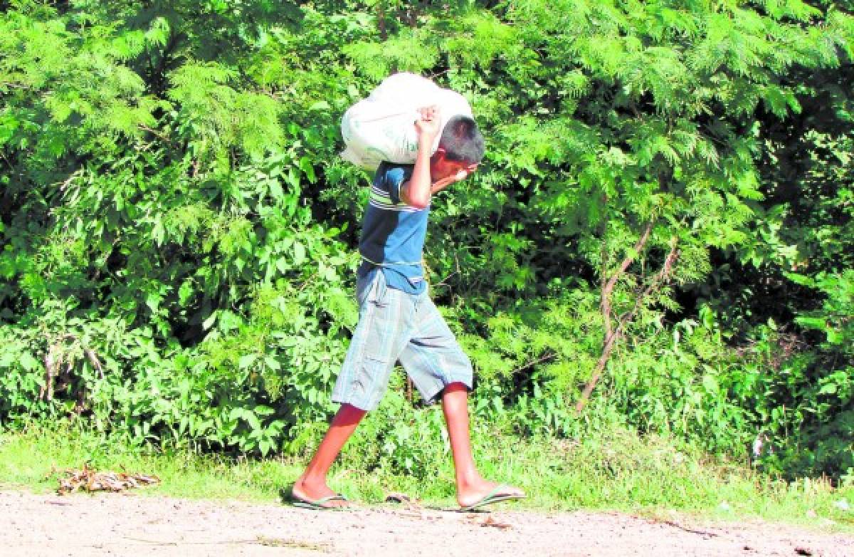 Migración de niños dispara la deserción