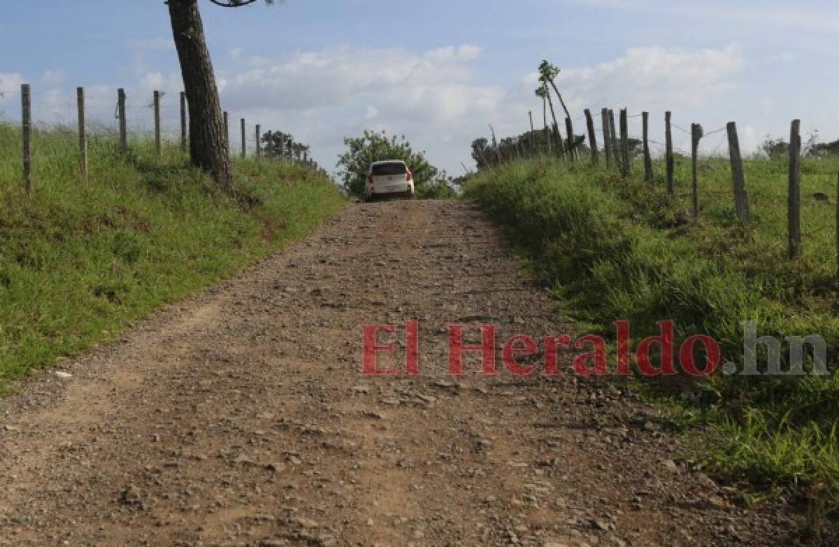 Los ingresos por visitas son demasiado reducidos, tampoco existen incentivos para visitar el zoológico. Además la calle de acceso está deteriorada y llegar en carro particular es difícil, sobre todo en tiempo de lluvia.