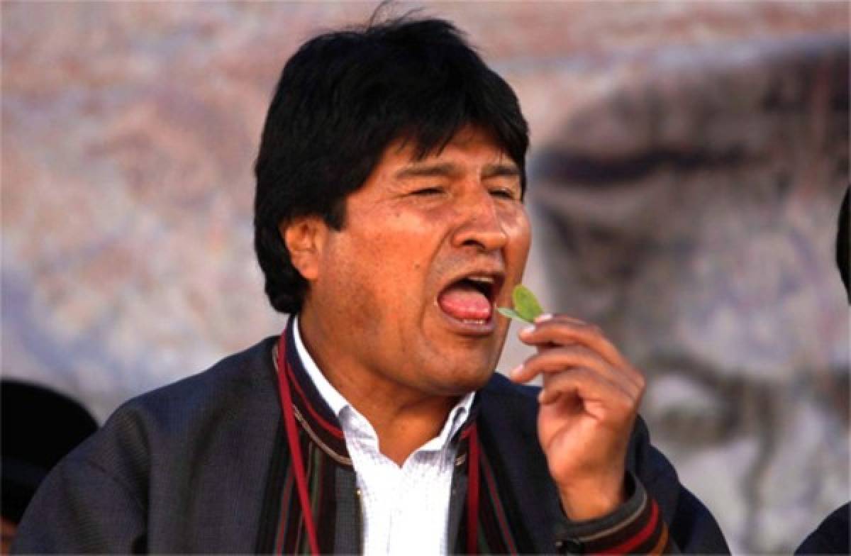 Evo Morales aboga por mascar coca para prevenir problemas dentales