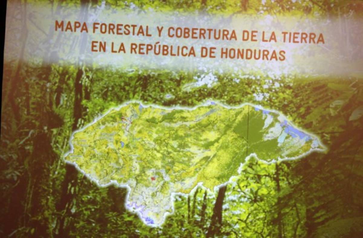 Lanzan 'Mapa Forestal y cobertura de la tierra en Honduras'