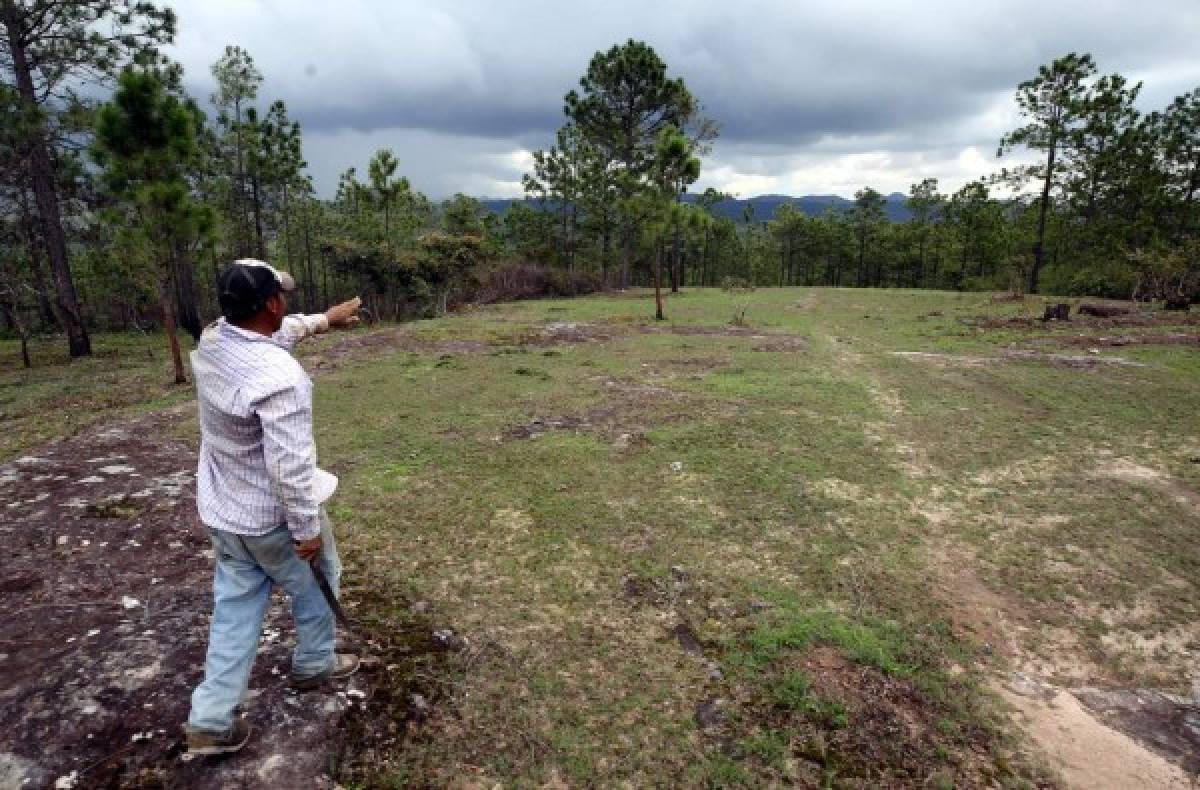 Construyen en Ojojona proyecto de más de 200 viviendas sociales