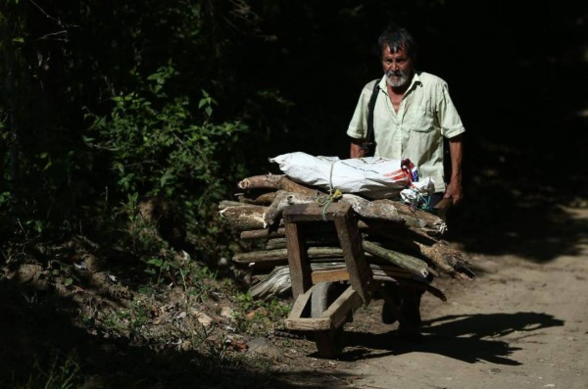 Finca Santa Emilia, un rincón para dejarse consentir por la madre naturaleza