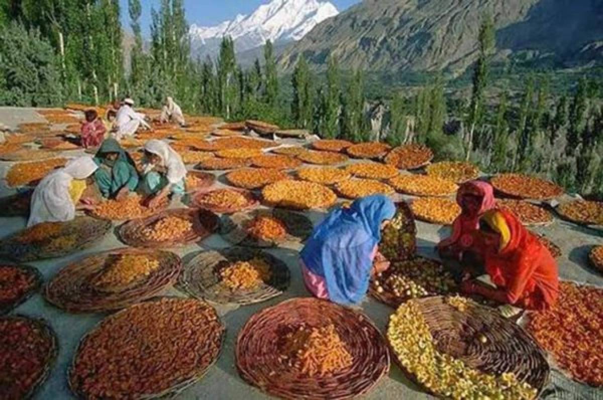 Los hunza, una tribu que no se enferma ni envejece