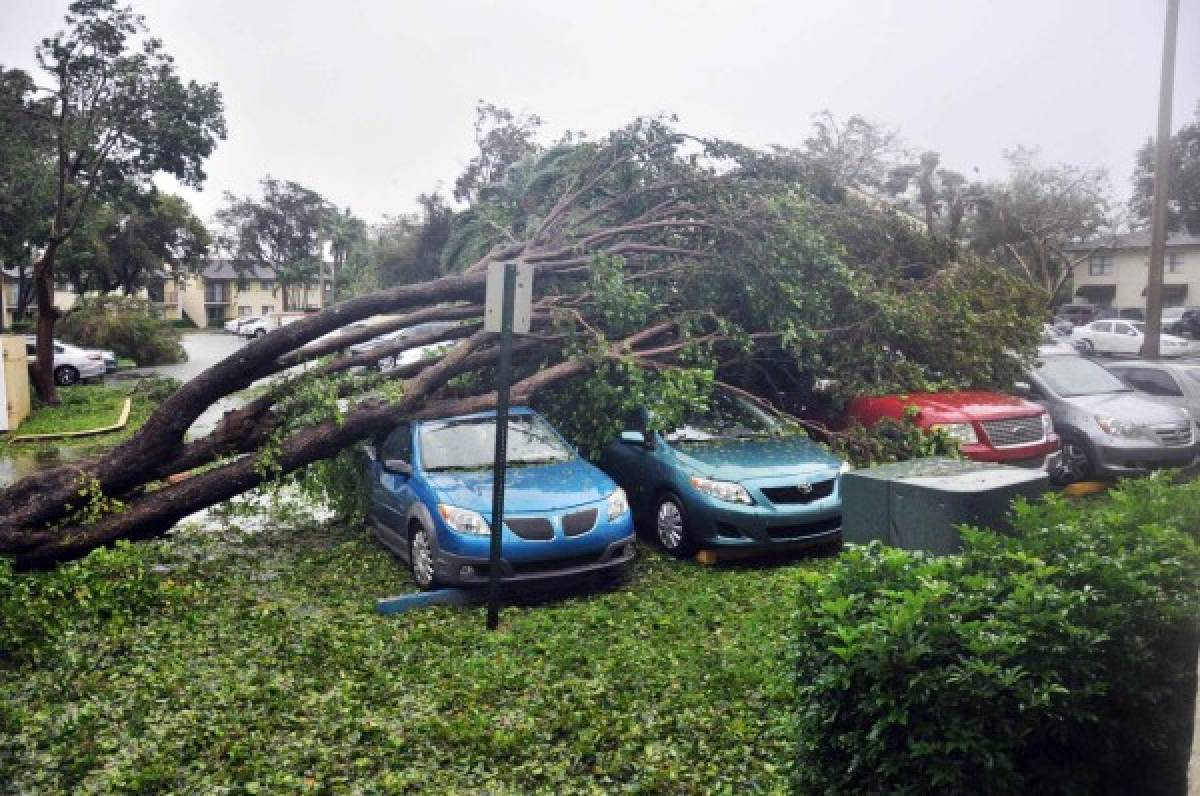 Trump declara el estado de catástrofe natural para Florida