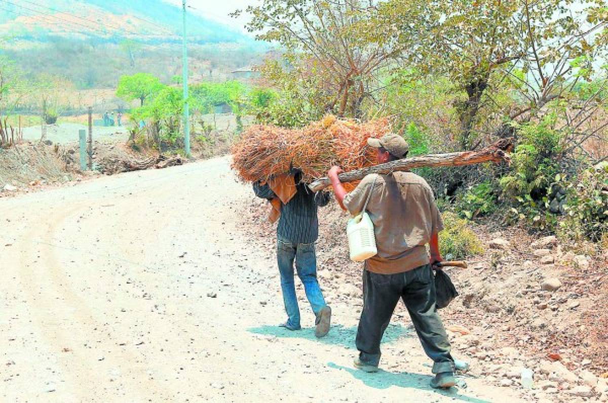 Honduras: El hambre amenaza a pobladores del corredor seco