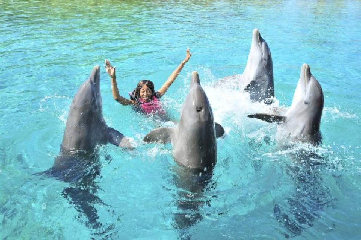 Encantos del caribe reunidos en un solo lugar: Roatán