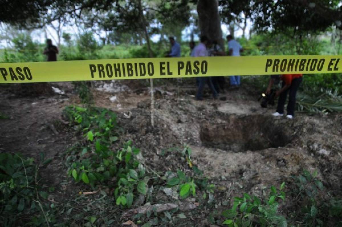 Exhuman 12 cadáveres de fosa clandestina en estado mexicano de Veracruz   