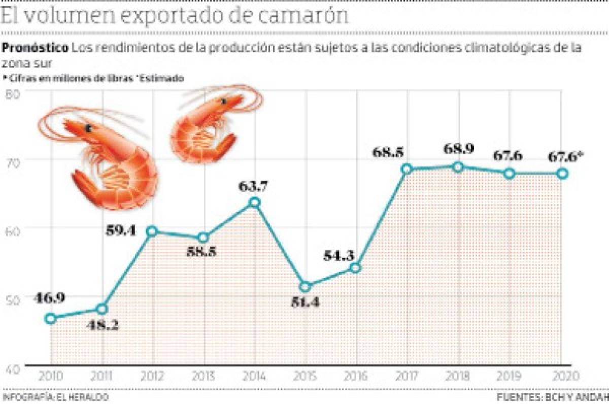 Bioseguridad ha sido el éxito de camaricultura hondureña