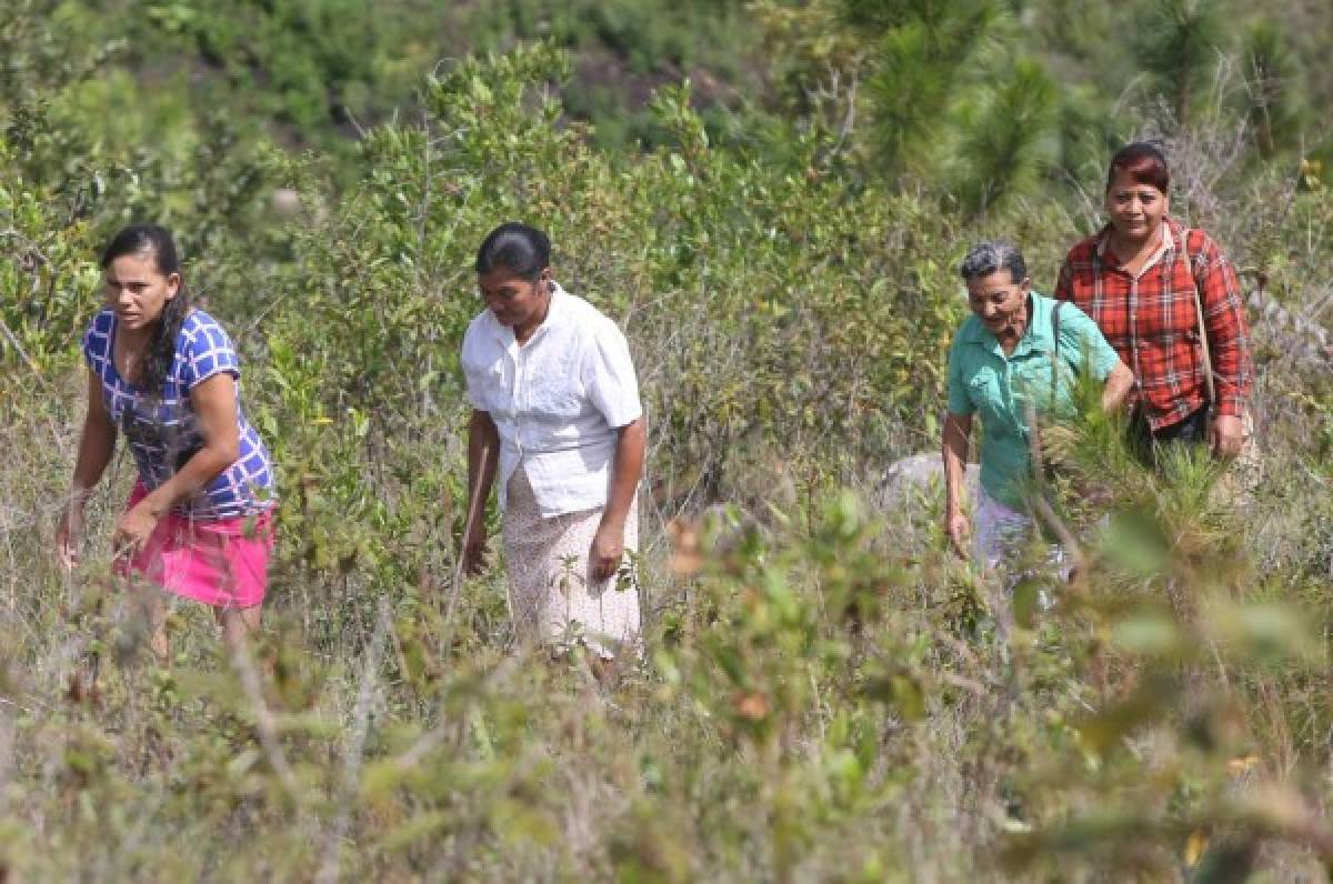 Llega atención médica para los niños de la Escuela El Zurzular