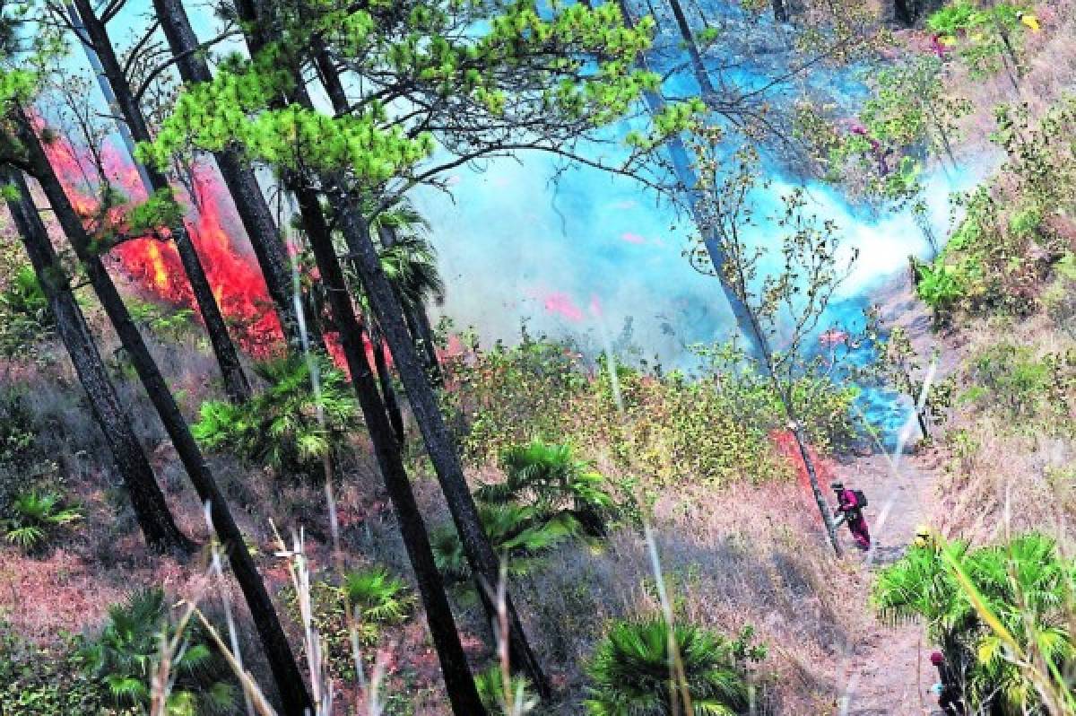 Cuatro incendios acechan la capital de Honduras